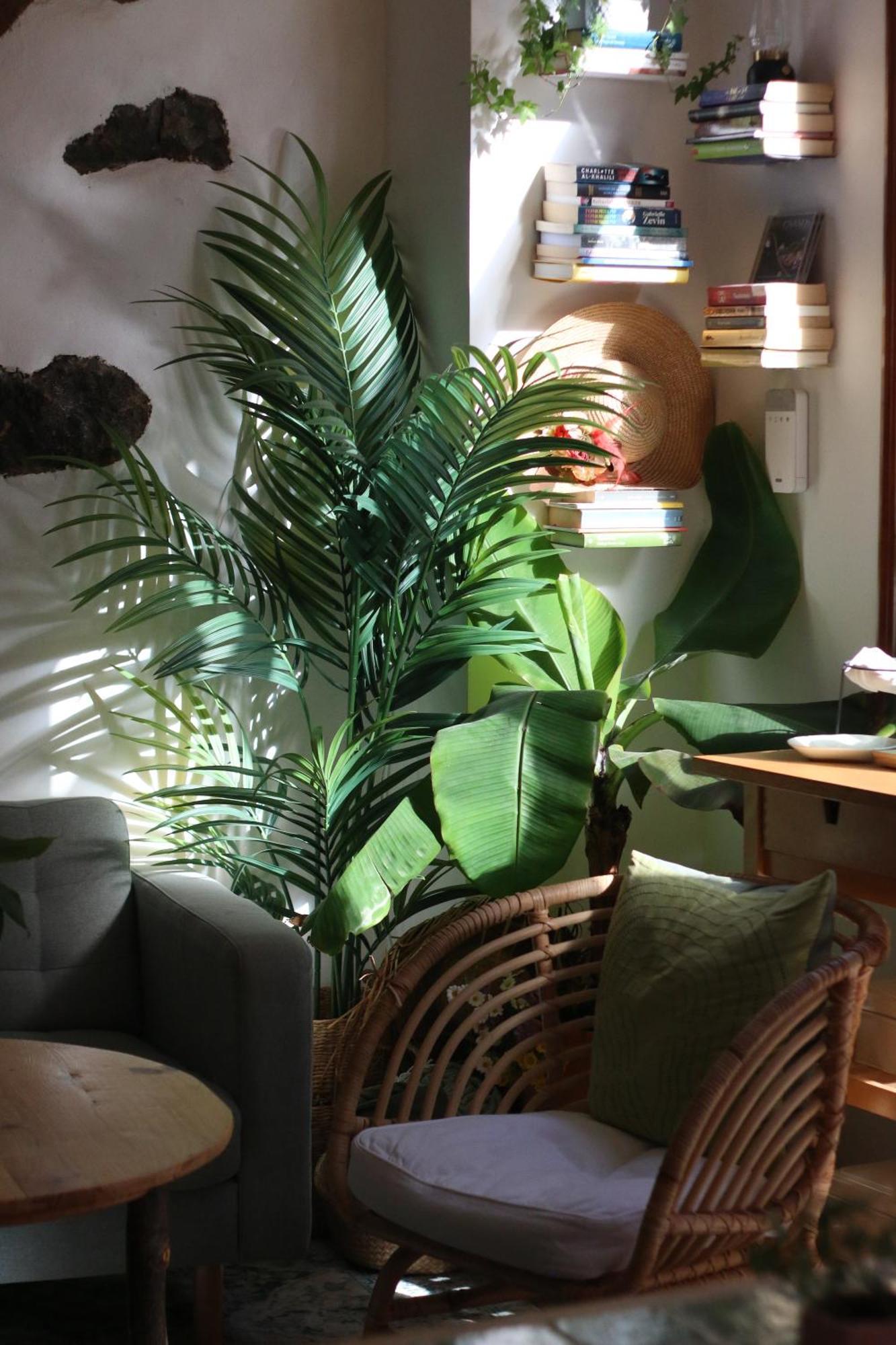 Готель Banana Garden La Palma Санта-Крус-де-ла-Пальма Екстер'єр фото
